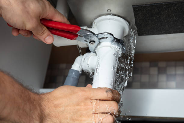 Best Professional water damage repair  in Bellevue, NE
