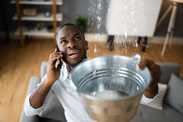 Best Water damage restoration experts  in Bellevue, NE