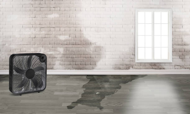 Best 24-hour water damage restoration  in Bellevue, NE