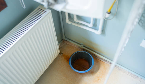 Best Fire Damage Restoration  in Bellevue, NE