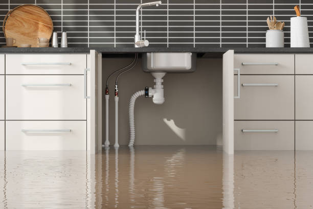 Best Flooded house restoration  in Bellevue, NE